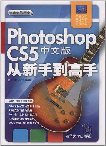 Photoshop CS5中文版从新手到高手