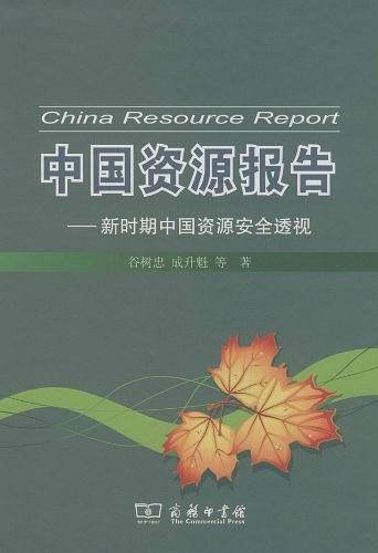 中国资源报告