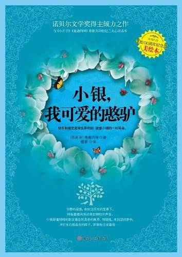 小银，我可爱的憨驴