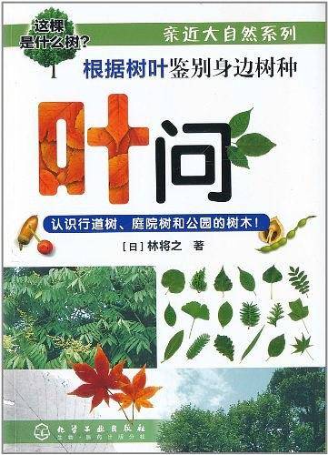 亲近大自然系列--叶问-根据树叶鉴别身边的树种