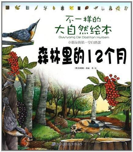 森林里的12个月/不一样的大自然绘本