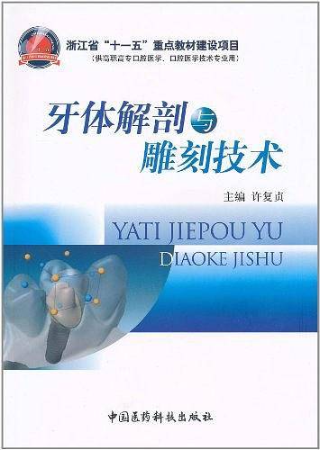 牙体解剖与雕刻技术