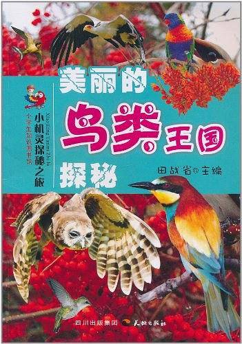 小机灵探秘之旅