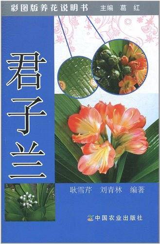 君子兰