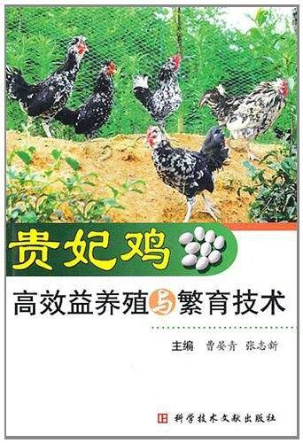 贵妃鸡高效益养殖与繁育技术
