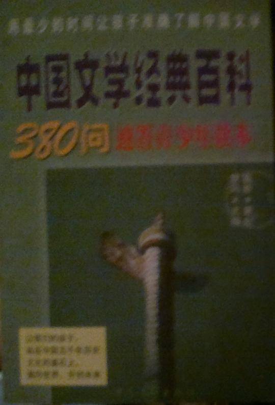 中国文学经典百科380 问速答青少年读本
