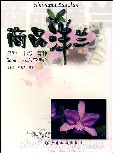 商品洋兰