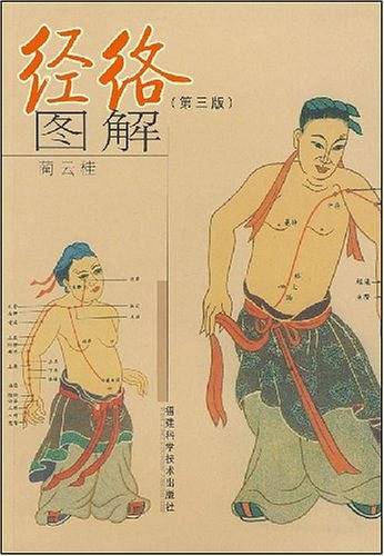 经络图解