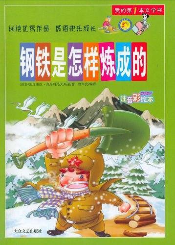 钢铁是怎样炼成的