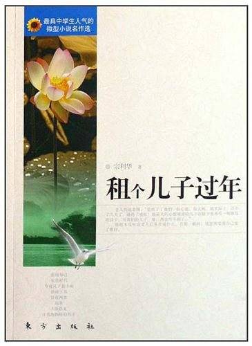 租个儿子过年