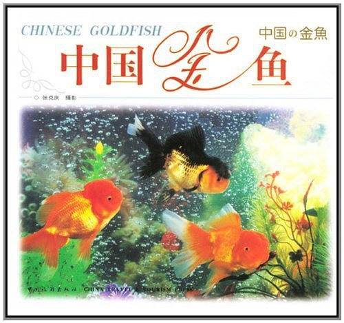 中国金鱼