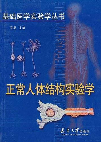 正常人体结构实验学