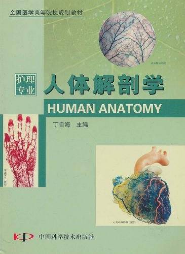 人体解剖学