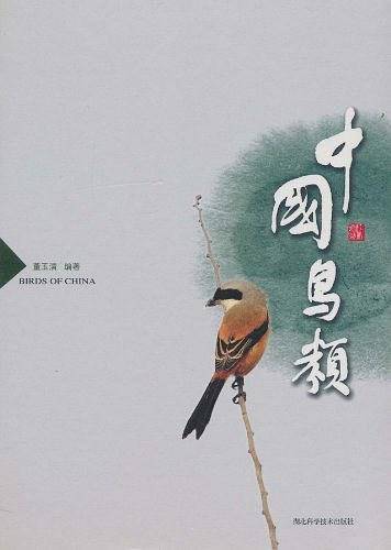 中国鸟类