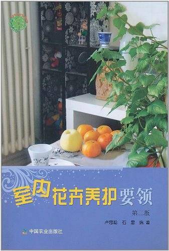 室内花卉养护要领