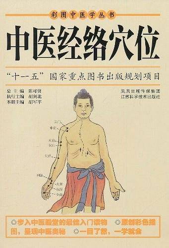 中医经络穴位