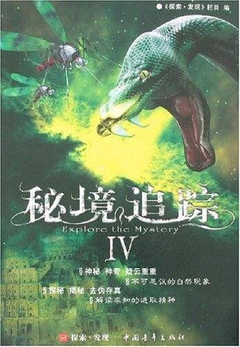 秘境追踪IV