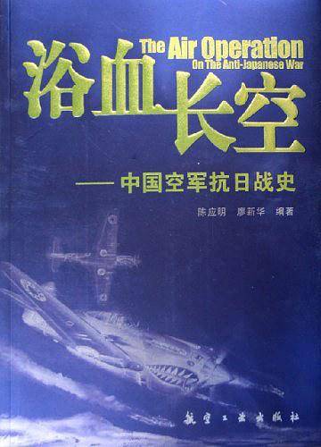 浴血长空--中国空军抗日战史