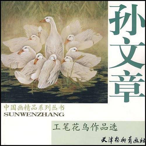 孙文章工笔花鸟作品选
