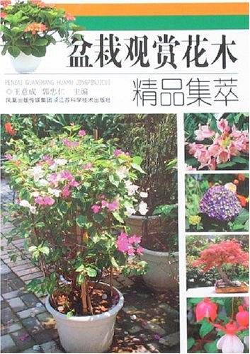 盆栽观赏花木精品集萃