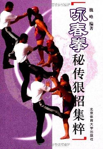 咏春拳:秘传狠招集粹