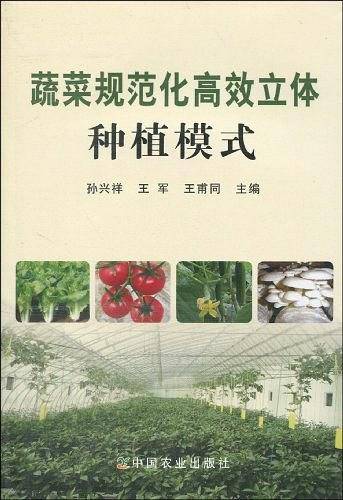 蔬菜规范化高效立体种植模式