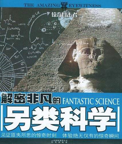 惊奇目击者