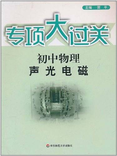 专项大过关.初中物理 声 光 电 磁