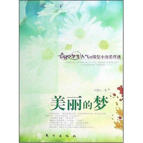 美丽的梦—微型小说名作选
