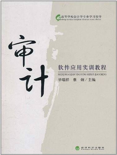 审计软件应用实训教程