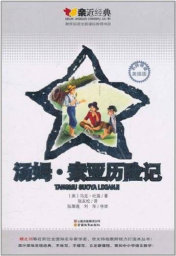 汤姆・索亚历险记