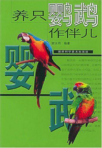 养只鹦鹉作伴儿