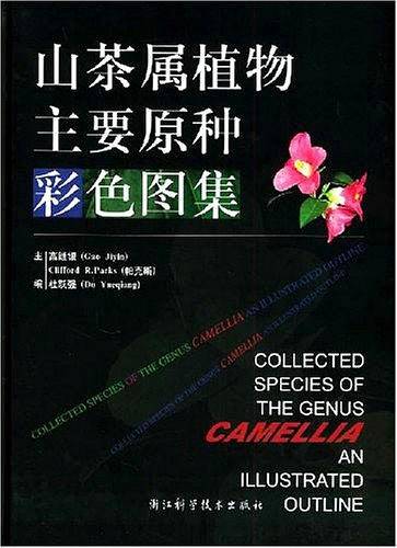 山茶属植物主要原种彩色图集