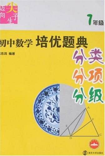 初中数学培优题典