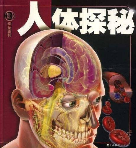人体探秘-探秘百科