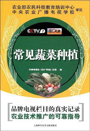 常见蔬菜种植