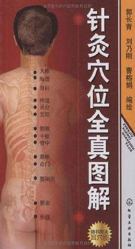 针灸穴位全真图解