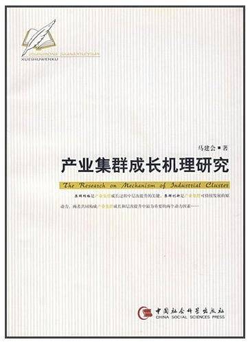 产业集群成长机理研究