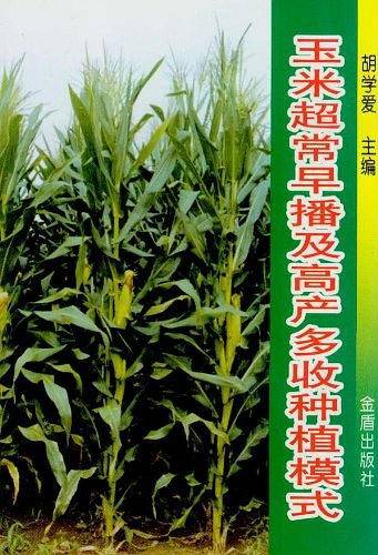 玉米超常早播及高产多收种植模式