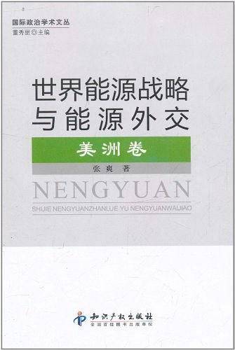 世界能源战略与能源外交・美洲卷