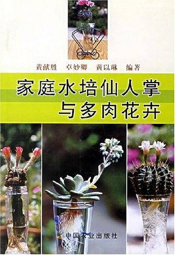 家庭水培仙人掌与多肉花卉