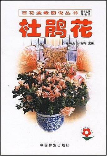 杜鹃花——百花盆栽图说丛书