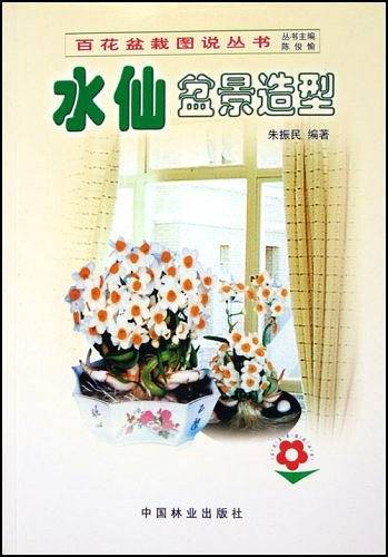 水仙盆景造型
