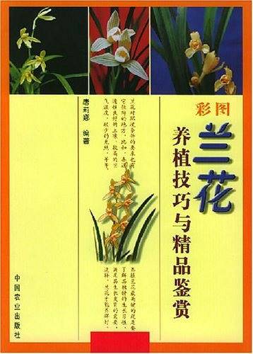 彩图兰花养植技巧与精品鉴赏