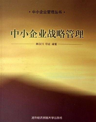 中小企业战略管理——中小管理丛书
