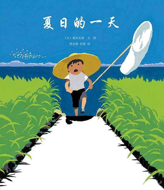 夏日的一天