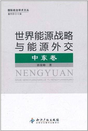 世界能源战略与能源外交·中东卷