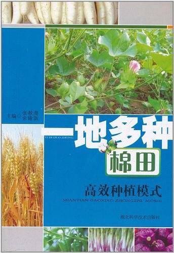 一地多种棉田高效种植模式