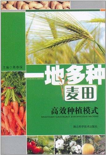 一地多种麦田高效种植模式