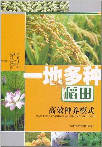 一地多种稻田高效种植模式